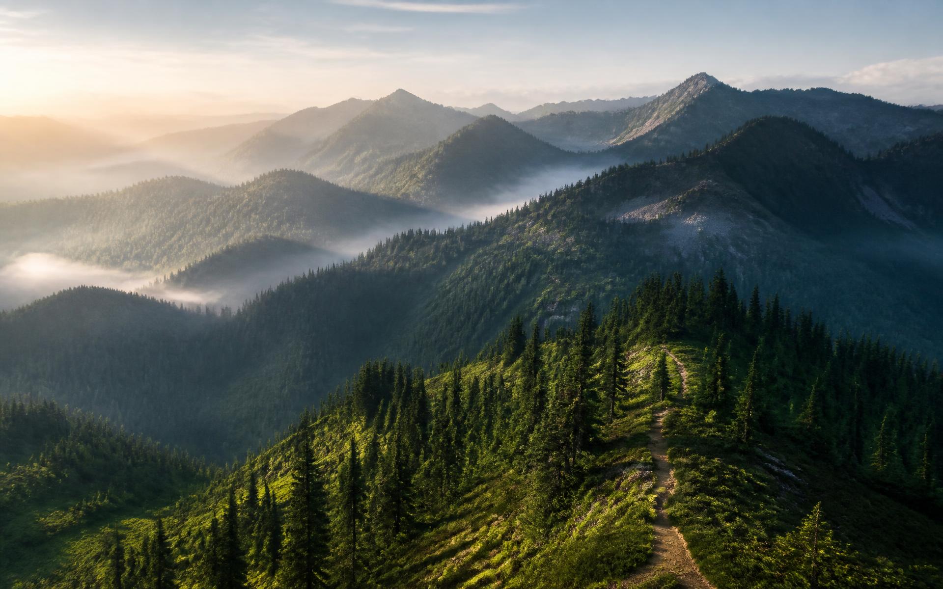Misty forested mountain ridges at sunrise with a hiking trail